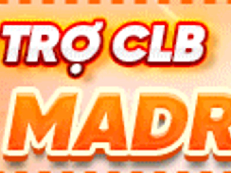 Viết báo cáo đánh giá chi tiết